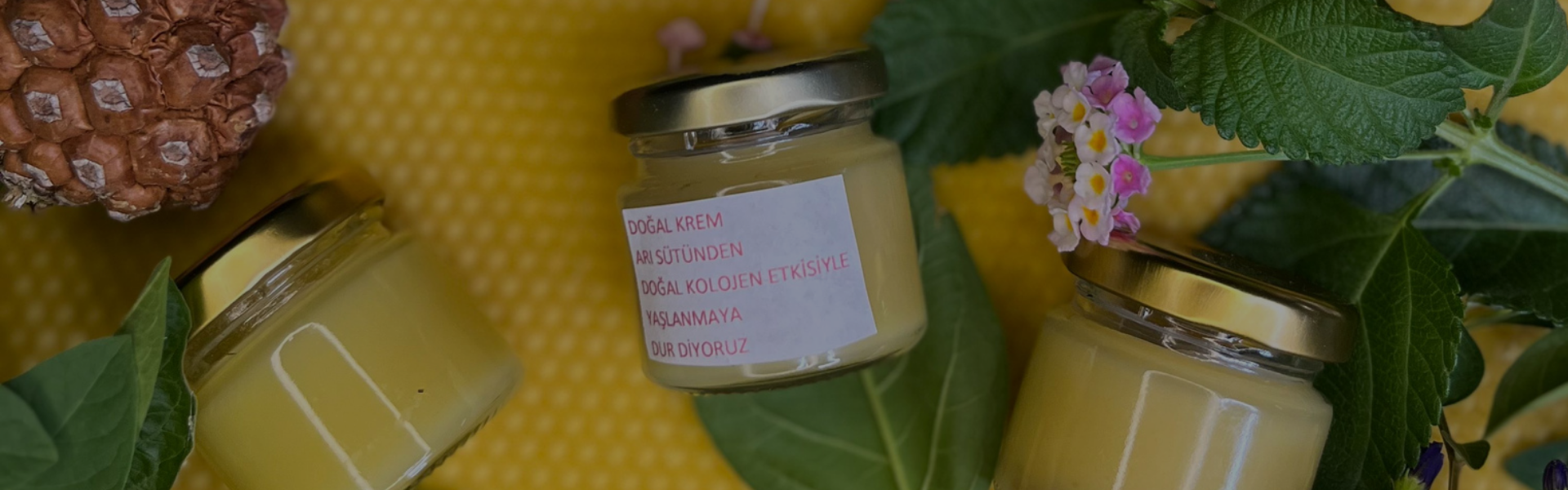 Nigar Ölemez Ballari